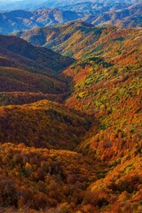 autumn in the mountains, Balkan mountain, Bulgaria