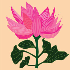 Pink and green flower with line art on orange colored card hand painted digital illustration. Large lotus flower card illustration. 