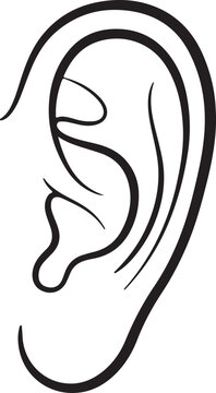 Simple elegant black line drawing of a human ear minimalist outline illustration for medical or anatomical concepts