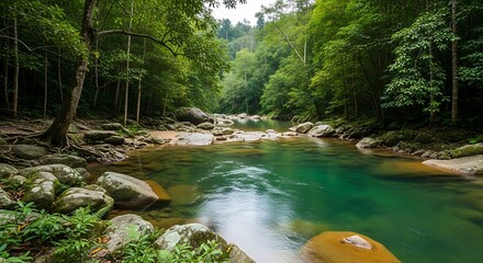Serene River Flowing Through Lush Green Forest Landscape.