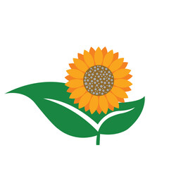 Radiant Sunflower A Modern Illustration Design On White Background.