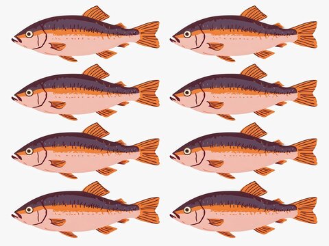 A repeating pattern of stylized brown trout illustrations on a white background. Clean, modern design suitable for various design projects.