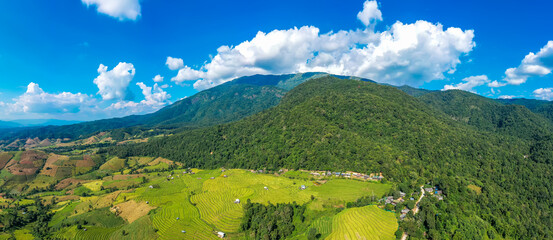 Aerial of lush rice fields with wooden boardwalk, flying high toward green mountains and blue sky white clouds near rural countryside. Peaceful, natural daytime landscape