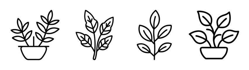 Line art illustration of potted plants and foliage for botanical design and decoration elements