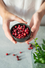 Hand holding bowl of fresh cranberries on a light table with green branch. Concept of healthy natural wild berries.