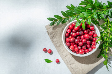 Fresh cranberries in a white bowl on a light background with green branch, napkin and sunlight.