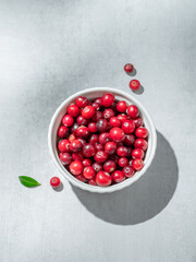 Fresh cranberries in a white bowl on a light background with green leaf and sunlight.
