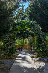 Green Arch on a Walking Path in a Residential Complex