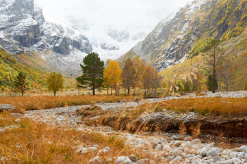 High-altitude valley with snowy peaks, golden autumn trees and dry riverbed creating dramatic seasonal contrasts.