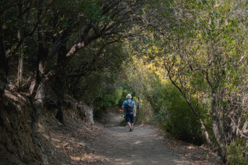 Obraz premium A man walking along a peaceful forest trail surrounded by green trees and sunlight filtering through the branches in Sardinia, Italy. Calm and natural atmosphere, perfect for travel or outdoor concept