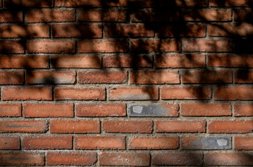Playful Shadow of Branches on Brick Wall Close-Up