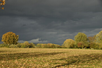 Nuage d'orage en fin de journ&eacute;e d'automne sur un paysage rural &agrave; &Eacute;caussinnes-d'Enghien (Soignies)