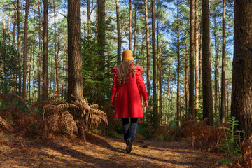 Obraz premium A woman in red coat walking on a path through a forest. 