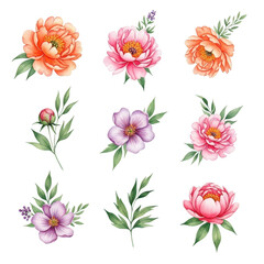 Elegant watercolor floral arrangements featuring peonies and greenery for decorative projects isolated on transparent background