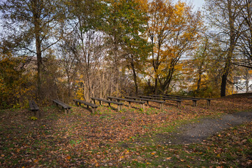 Park Benches in Autumn Leaves