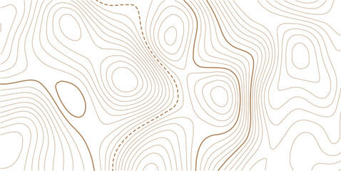 Topographic gold luxury map background. Geographic abstract pattern. Modern design with White background with topographic wavy pattern design. 
