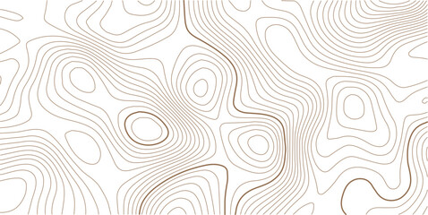 Abstract topo contour map on white background, Topographic map Topographic contour lines map seamless patter.artography terrain contour lines backdrop for website, presentations.