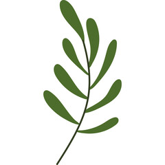 Minimalist illustration of a dark green sprig with oval leaves on a transparent background perfect for seasonal design elements