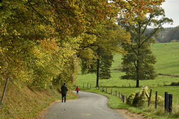 Promenade sous le feuillage dor&eacute;e &agrave; Sosoye (Anh&eacute;e-Dinant)