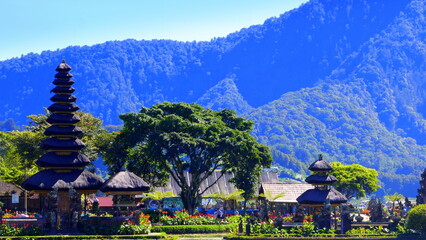 großer Park mit hohen Bäumen beim Bratantempel in Bali mit Berg und Wald 