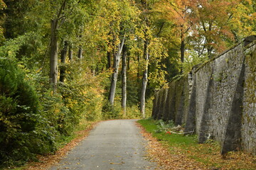 Couleur de l'automne de la forêt longeant le mur d'enceinte de l'abbaye de Maredret à Anhée (Dinant)