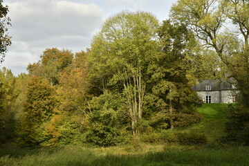 La beauté de l'automne de la forêt à Sosoye (Anhée-Dinant)