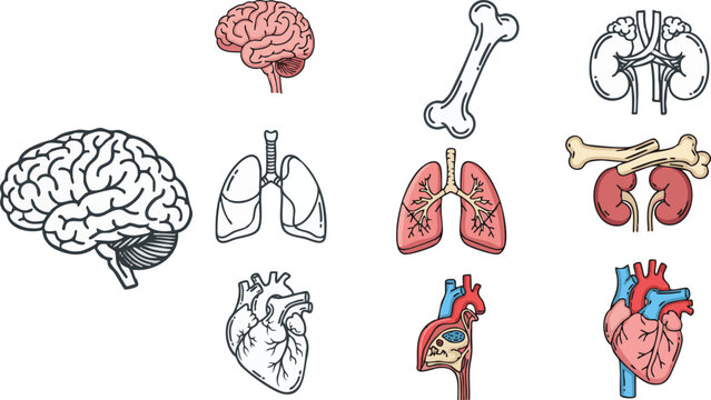 Healthy lifestyle icons set medical wellness vector illustration