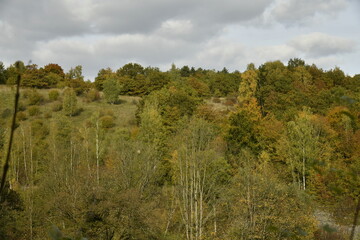 Obraz premium Les couleurs de l'automne sur une colline boisée sous le soleil à Sosoye (Anhée-Dinant)