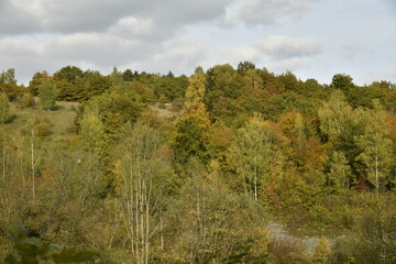 Les couleurs de l'automne sur une colline boisée sous le soleil à Sosoye (Anhée-Dinant)