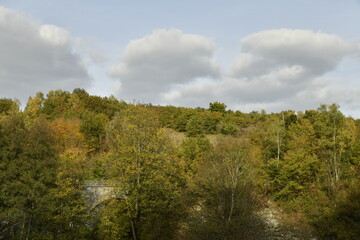 Les couleurs de l'automne sur une colline boisée sous le soleil à Sosoye (Anhée-Dinant)