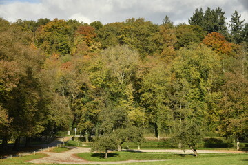 Beauté de l'automne d'une forêt au parc du domaine de l'abbaye de Maredsous à Anhée (Dinant) 