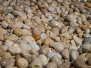 CLOSE UP: Wet pebbles glisten in the sunlight along a Mediterranean beach. Smooth stone textures and bright soft colors create a captivating pattern within the calm and natural beauty of the coastline