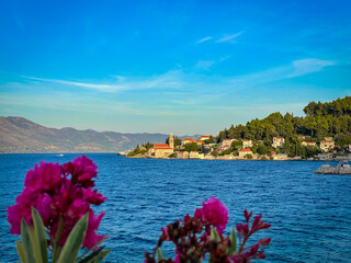 Old town with stone buildings rising above the deep blue sea, framed by bright pink Mediterranean flowers in the foreground. Timeless coastal charm of a tourist island of Korcula in Adriatic Sea.