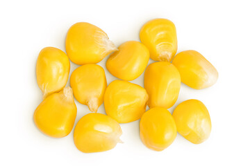 corn seeds isolated on white background. Top view. Flat lay