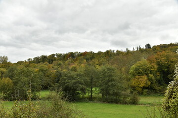 Prairie au fond de la vallée entourée de collines boisées en automne à Sosoye (Anhée-Dinant)
