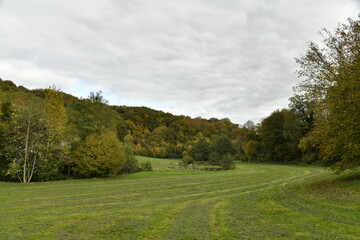 Prairie au fond de la vallée entourée de collines boisées en automne à Sosoye (Anhée-Dinant)