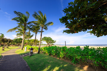 Obraz premium Beach with palm trees and a path leading to it