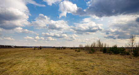 Obraz premium Field with a few trees and a cloudy sky
