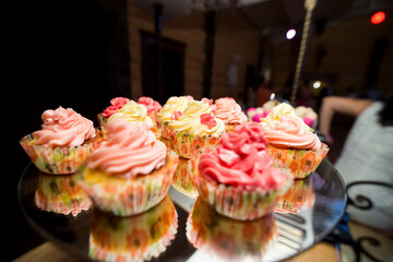Cupcakes with pink cream at wedding reception. Close-up of delicious cupcakes with pink and yellow cream frosting served at wedding reception