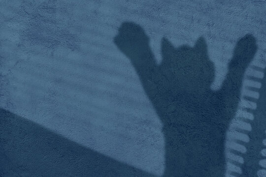 Abstract Pink Liquid Wave Motion Background | Gradient Flow Animation | 4K Loop