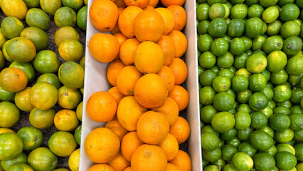 Close-up of citrus fruits in three sections: ripe oranges (orange) and limes (green) flanked by green-yellow oranges or limes. Vibrant colors. Market stall or fruit display.