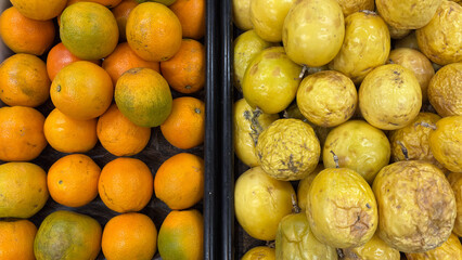 Close-up of bulk oranges and yellow passion fruit (maracujá) on display for sale at a market or...
