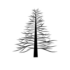 Pine tree outline. Forest nature symbol. Linear plant vector. Black drawing element.