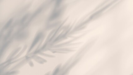 Fototapeta premium Delicate Shadows on Textured Surface, Abstract Botanical Forms in Gentle Light.