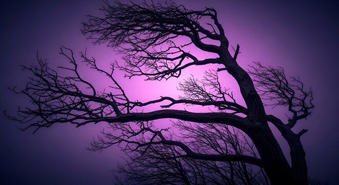 Silhouetted tree branches reach upward against a gradient of purple and dark blue sky