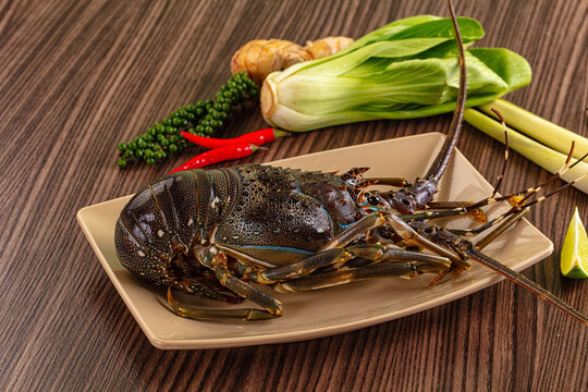 Raw fresh lobster for bowl