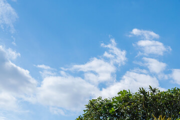 秋の空　昼の青空と雲と木々60