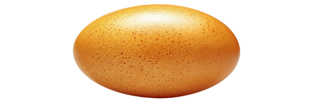 A close-up view of a shiny brown egg resting on a smooth surface, showcasing its natural speckled texture, ideal for culinary use or food-related projects