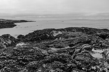 A rocky shoreline with a body of water in the background
