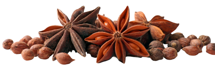 A vibrant arrangement of star anise and other spices on a clean background, showcasing their unique shapes and colors, ideal for culinary and food-related uses
